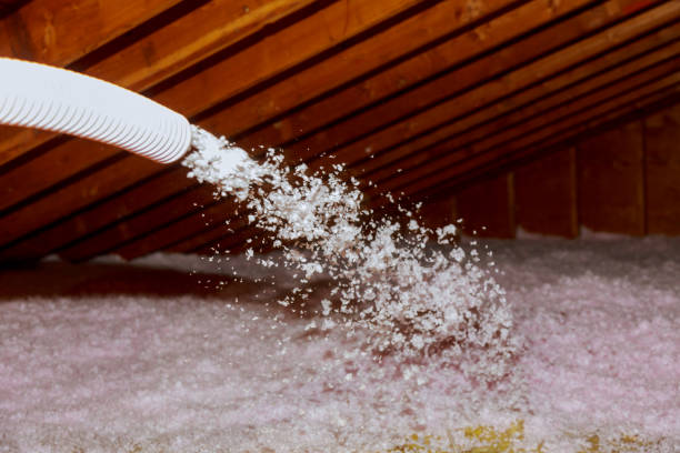 Best Affordable Insulation Services  in Waverly, NY