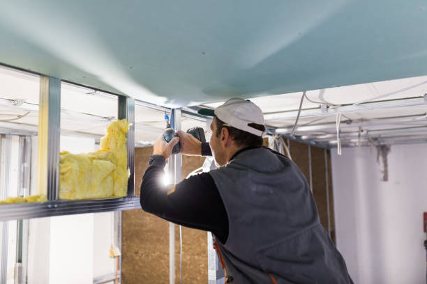 Best Insulation Removal  in Waverly, NY