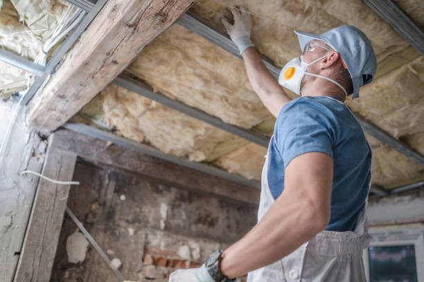 Best Spray Foam Insulation  in Waverly, NY