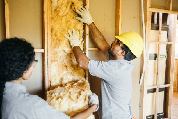 Best Crawl Space Insulation  in Waverly, NY