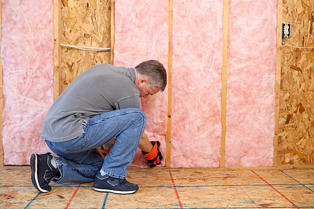 Best Energy-efficient Insulation  in Waverly, NY