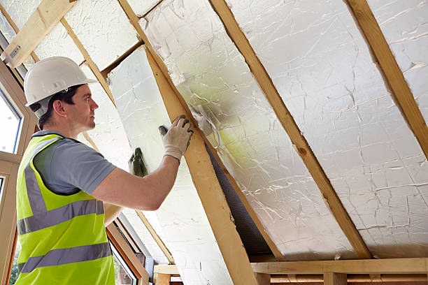 Best Cellulose Insulation  in Waverly, NY